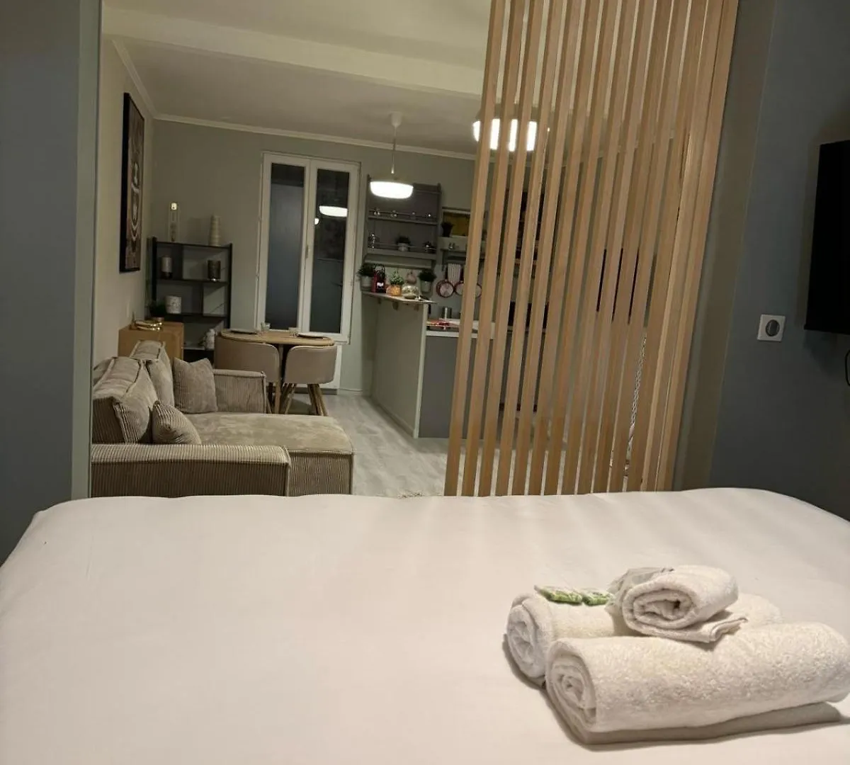 Apartment Appartement Douillet Alfortville Proche Metro Et Rer France